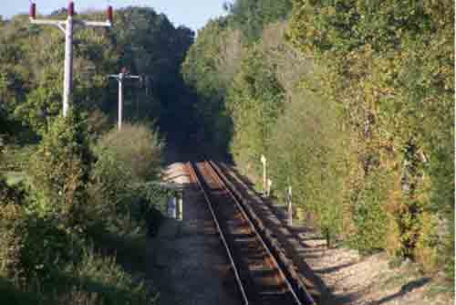 
Fig 2 - Looking north east - <i>Image  Victoria Rodhouse</i>