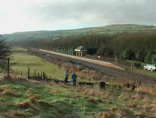 
Fig 3 - Looking south <i>Photo by Marcus Dawson</i>