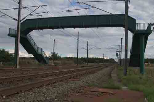 
Fig 8 - General view of the bridge