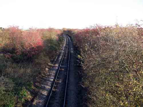 
Fig 1 - Looking east